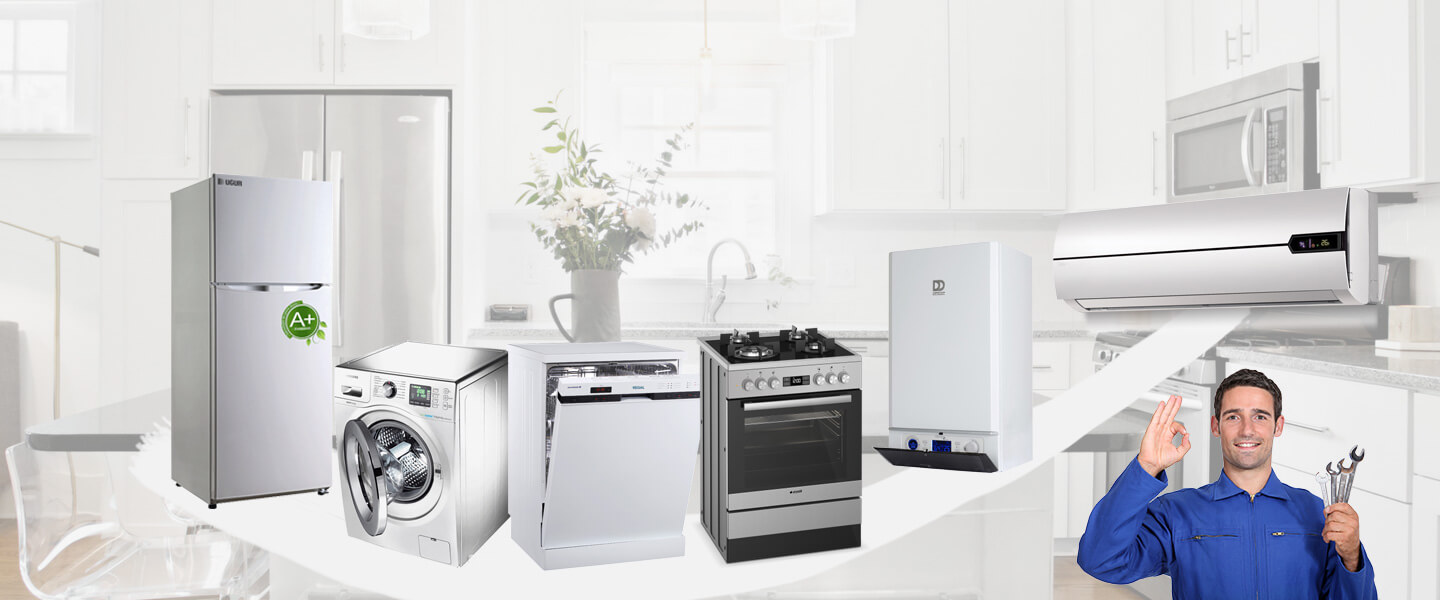 Dedebaşı Philips Servisi